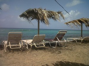 IMG00105-20120521-0956